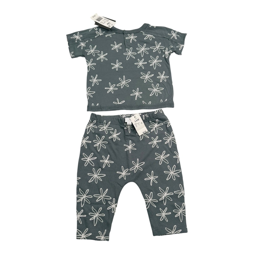 GRAYSON Mini Gray Blue Floral‎ T-Shirt & Pants Set - Size 3-6M - NWT
